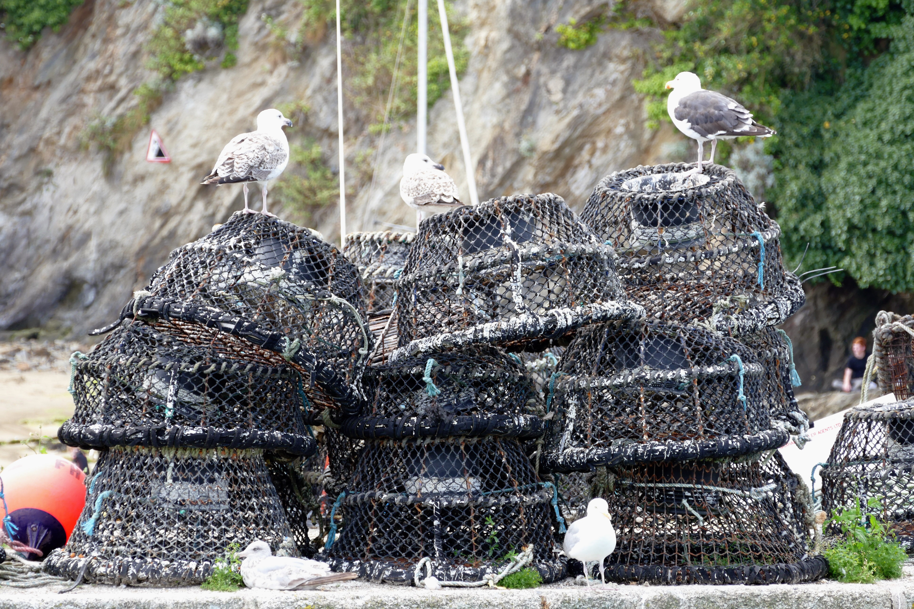 Crab Pots